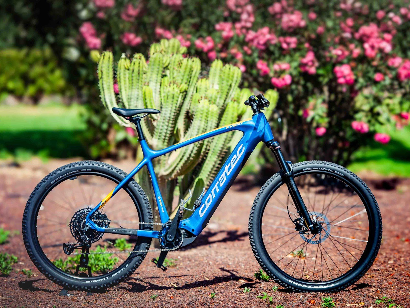 E Bike rental Fuerteventura E Bike rental Fuerteventura
