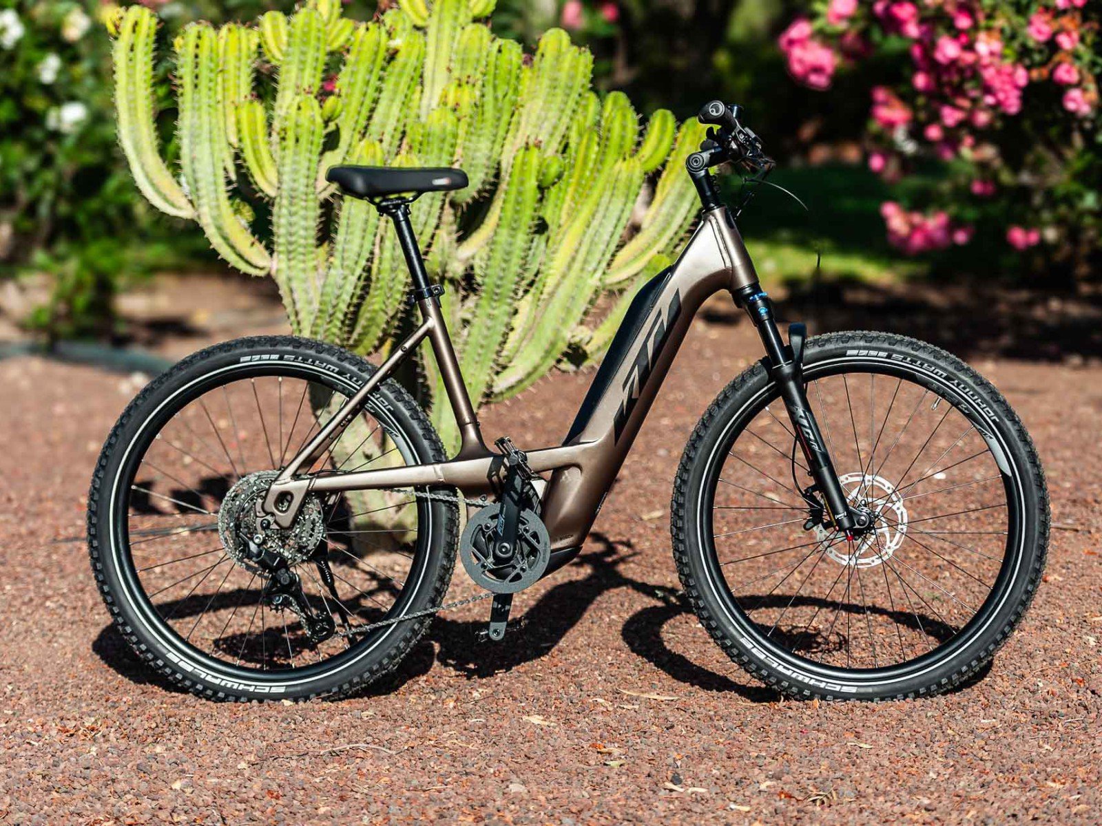 E Bike Rental Fuerteventura E Bike Rental Fuerteventura