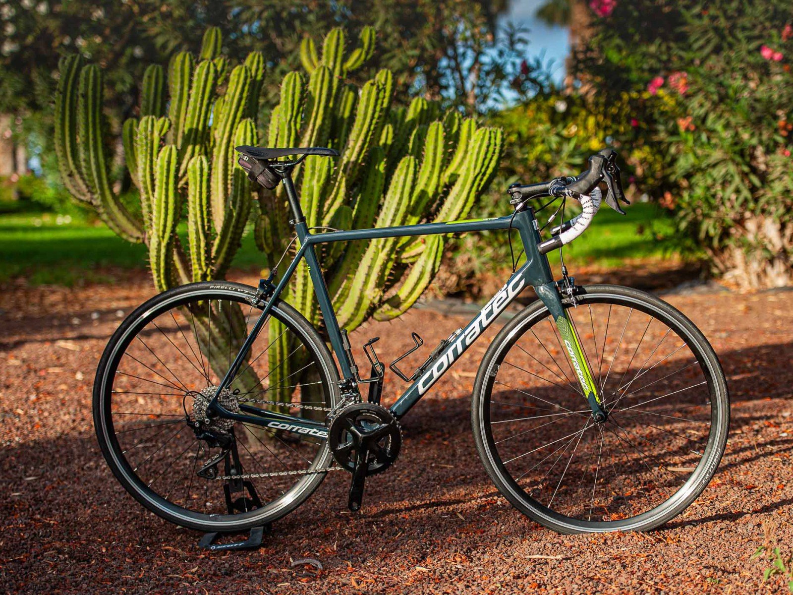Carbon Roadbike Rental Fuerteventura Carbon Roadbike Rental Fuerteventura