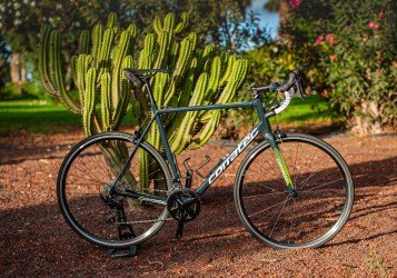 Carbon Roadbike Rental Fuerteventura Carbon Roadbike Rental Fuerteventura