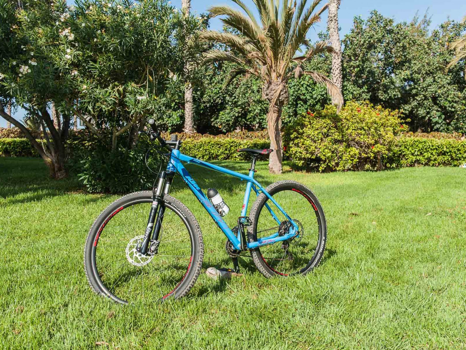 volcano alpha road bike