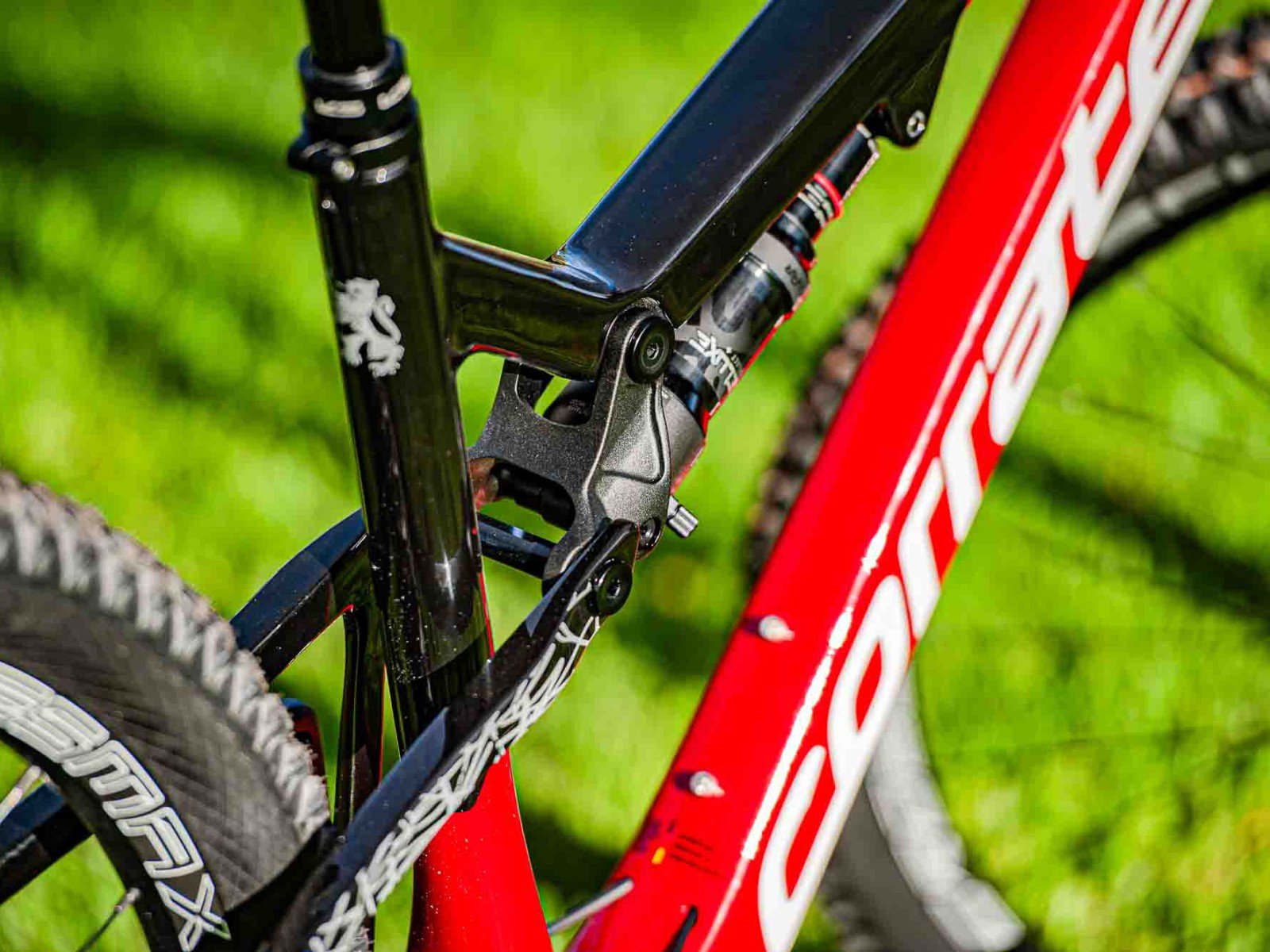 Bike Rental Fuerteventura Fully Bike Rental Fuerteventura Fully